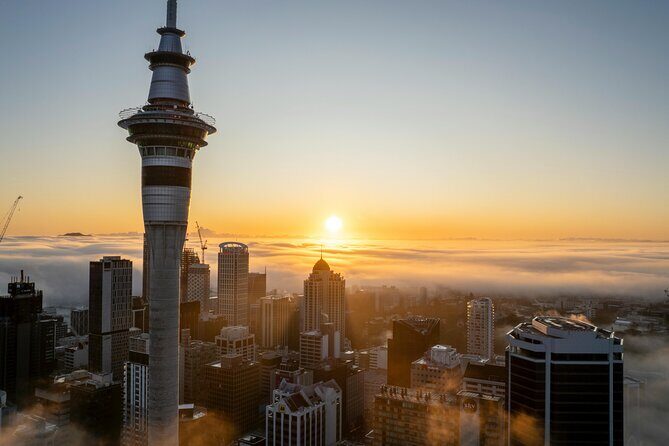 Auckland Full Day Attractions & Museums Tour - Price and Value: Is $217.20 a Fair Deal?