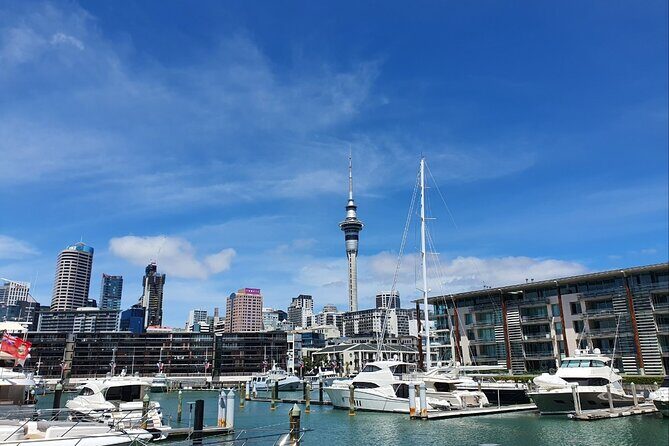 Auckland Full Day Attractions & Museums Tour - Stop 2: Mount Eden (Maungawhau) and Its 196-Metre View
