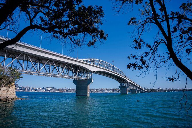 Auckland Full Day Attractions & Museums Tour - Getting Around in a Small Group (Pickup, Comfort, and Time on Your Side)