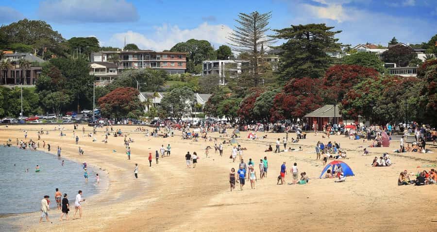 Auckland: Full-Day City Tour - Auckland Museum and the winter garden option: plan for the ticket