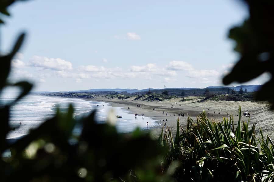 Auckland: Group Surfing Lesson with Muriwai Surf School - Getting There From Auckland: Plan for the West Coast Timing