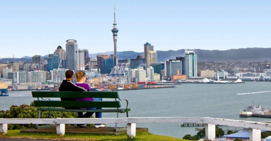 Auckland: Guided Small Group City Discovery Tour - Pacing, comfort, and what $59 buys you