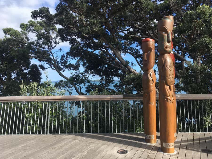 Auckland: Half-Day Auckland Volcanoes Tour - Volcano Views, But Make It Understandable