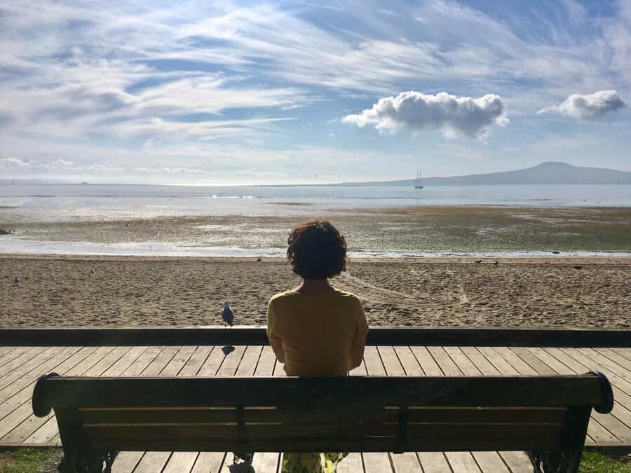 Auckland: Half-Day Auckland Volcanoes Tour - How the Morning Starts: Pickup from Queens Wharf and Auckland CBD