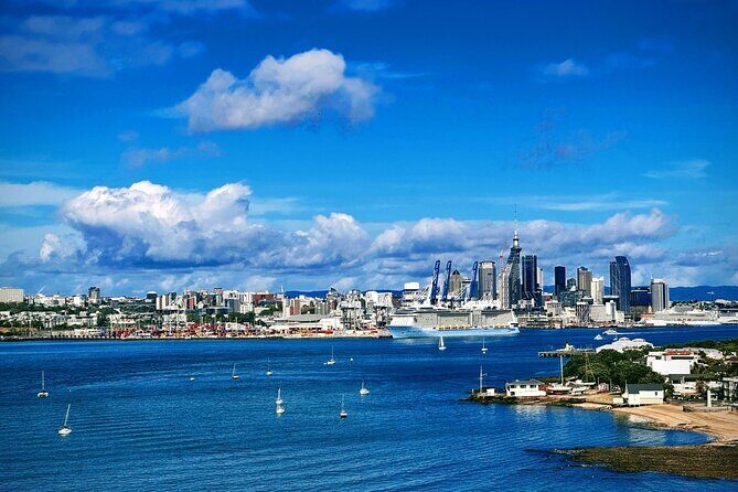 Auckland Half Day City Tour - Heart of Auckland - Why This 3-Hour-Plus Auckland Tour Feels Just Right
