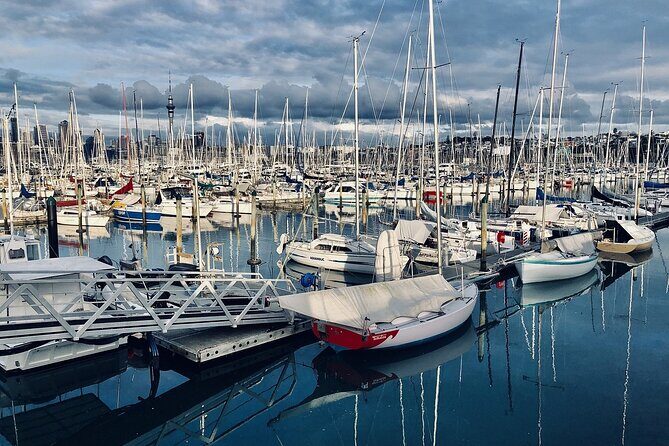Auckland Half Day City Tour - Heart of Auckland - Stop 1: Westhaven Harbour Views and the Auckland Harbour Bridge