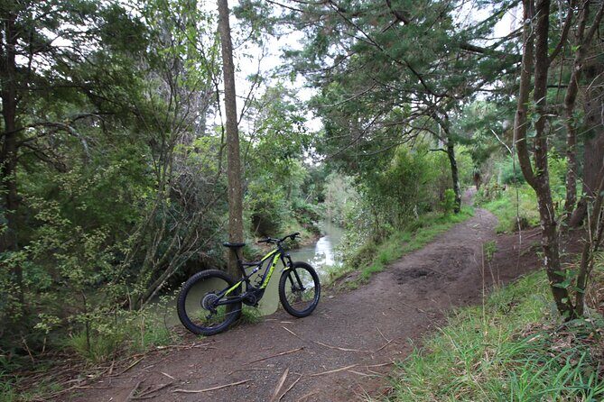 Auckland Half Day E-Bike Excursion - Stop 3: Te Atatu peninsula viewpoints plus a coffee and sweet treat