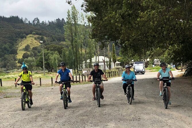 Auckland Half Day E-Bike Excursion - Why the e-bike and grade 1 trails matter for first-timers