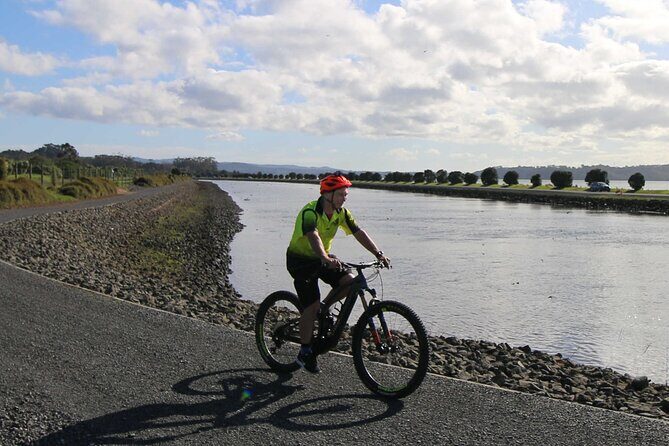 Auckland Half Day E-Bike Excursion - Stop 1: the waterfront ride under the Harbour Bridge