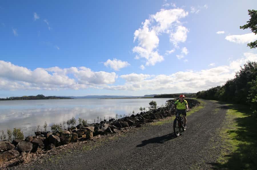 Auckland Half-Day Ebike Tour Excursion - Western Springs: the city lake stop that changes the whole vibe