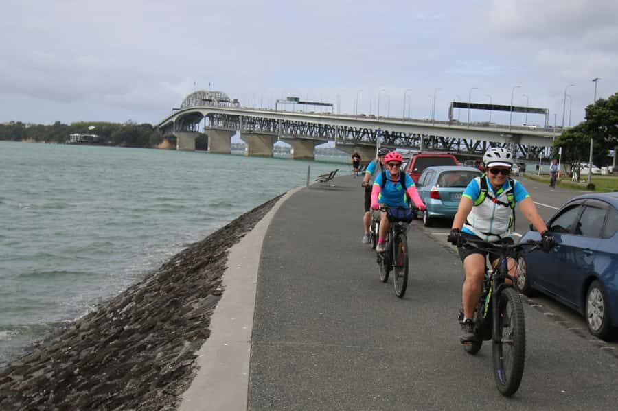 Auckland Half-Day Ebike Tour Excursion - Meola Reserve and Te Atatu Peninsula: where suburbs turn dramatic
