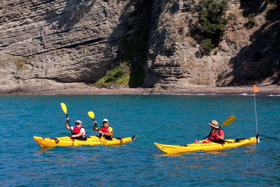 Auckland: Half-Day Sea Kayak Tour to Motukorea Island - Key points before you go