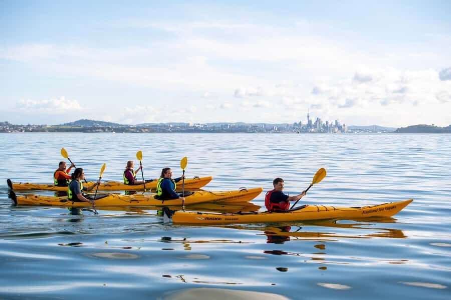 Auckland: Half-Day Sea Kayak Tour to Motukorea Island - Price and value: is $116 per person worth it?