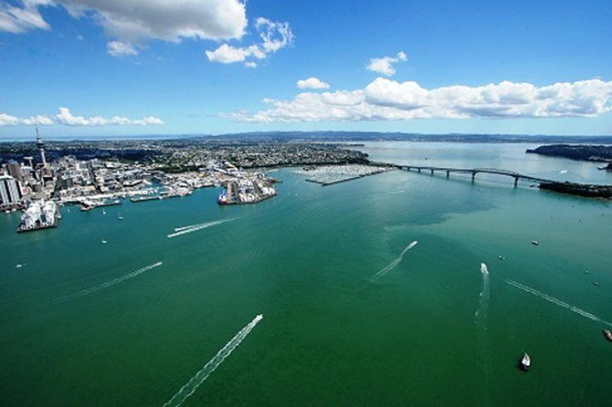 Auckland Harbour Cruise - Key things I’d circle before you book