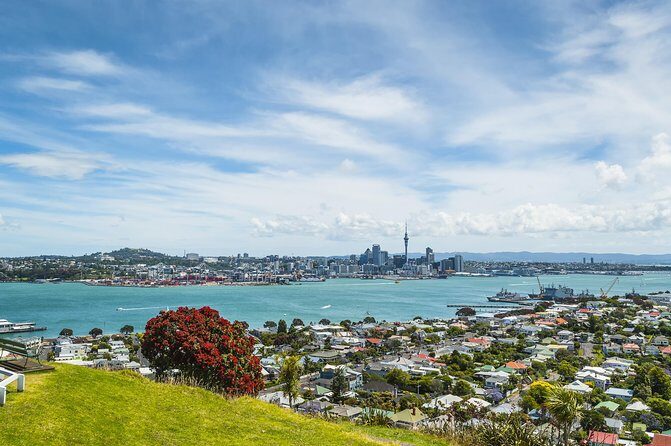 Auckland Harbour Cruise - Who this cruise is best for (and who might want something else)