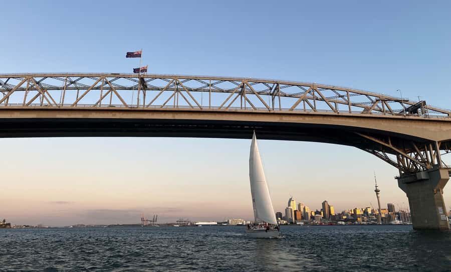 Auckland: Harbour Sailing Cruise with 3-Course Dinner - City lights on Waitematā Harbour: the view you’re paying for