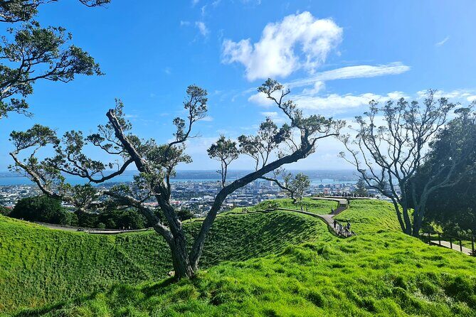 Auckland Hidden Gem Half Day Tour - Price and Logistics: $105.50 with hotel pickup and admission-free stops
