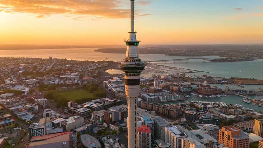 Auckland Highlight Attractions Small Group Tour - Should you book Auckland Highlight Attractions in a 4-hour small-group format?
