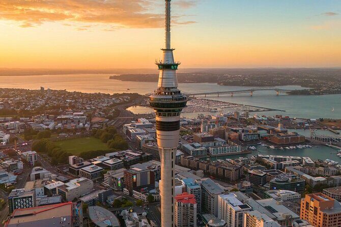 Auckland Highlight Attractions Small Group Tour - Mt. Eden (Maungawhau): the viewpoint that turns Auckland into a map