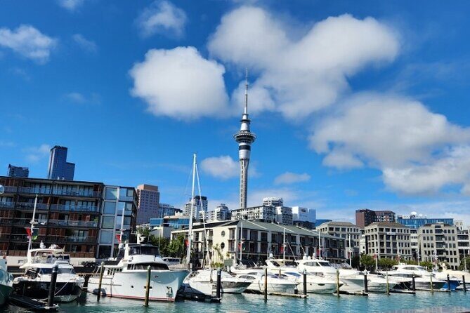 Auckland Highlights Full Day Guided Tour - Key highlights worth planning for