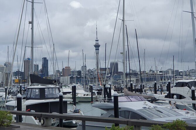 Auckland Highlights Full Day Guided Tour - Mount Eden crater: the best payoff for your time