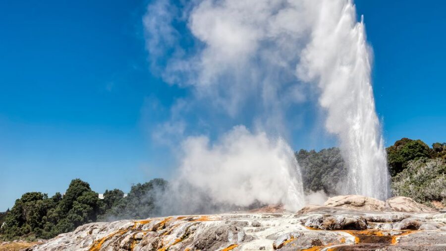 Auckland: Hobbiton and Rotorua Day Tour including Te Puia - Te Puia geothermal park: Pohutu Geyser and Māori culture together