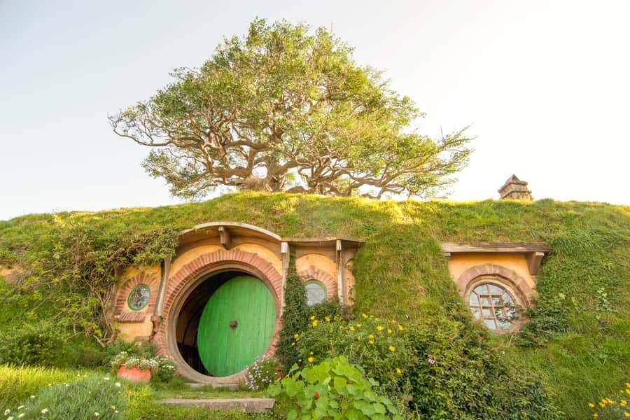 Auckland: Hobbiton Movie Set Tour with Lunch - Who should book this Hobbiton day trip?