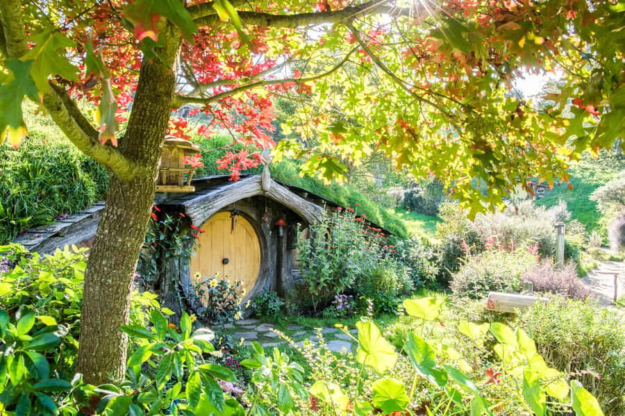 Auckland: Hobbiton Movie Set Tour with Lunch - Getting from Auckland to Hobbiton at 6:30 AM