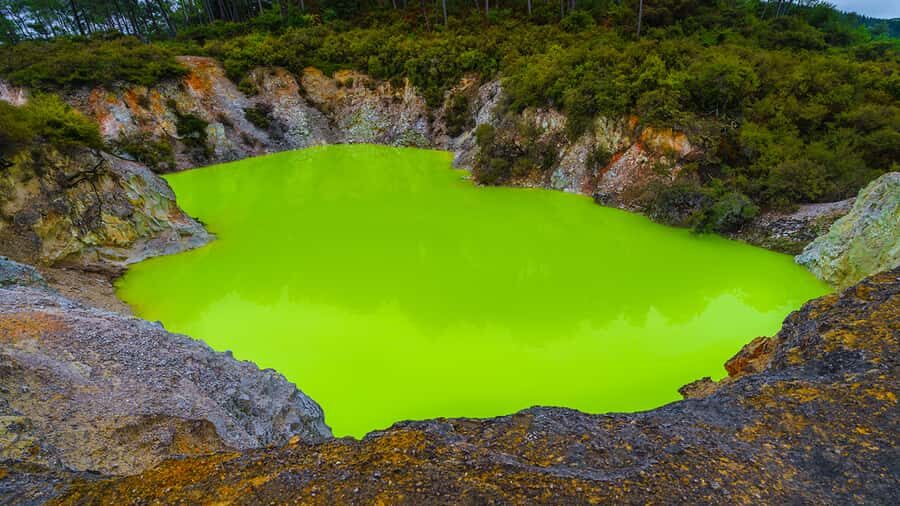 Auckland: Hobbiton, Rotorua and Wai-O-Tapu Day Tour - Tirau and Fitzgerald Glade: the drive stopovers that add character
