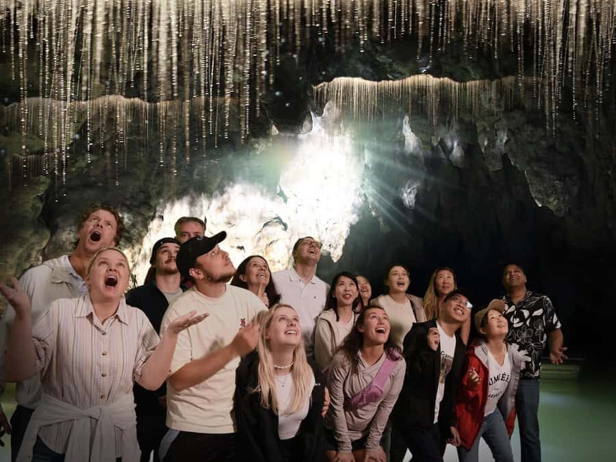 Auckland: Hobbiton & Waitomo Caves Small-Group Tour & Lunch - Price and value: $226 for two icons and a full day’s care