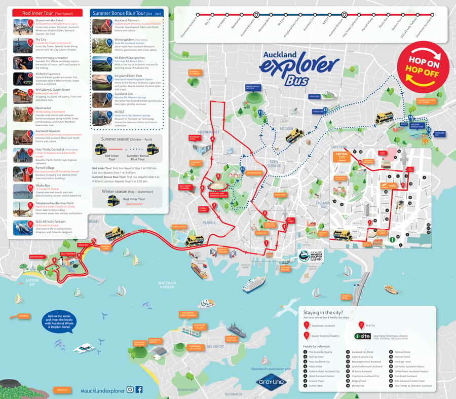 Auckland: Hop-On Hop-Off Explorer Bus Ticket - A Stop-by-Stop Way to Build Your Day Without Stress