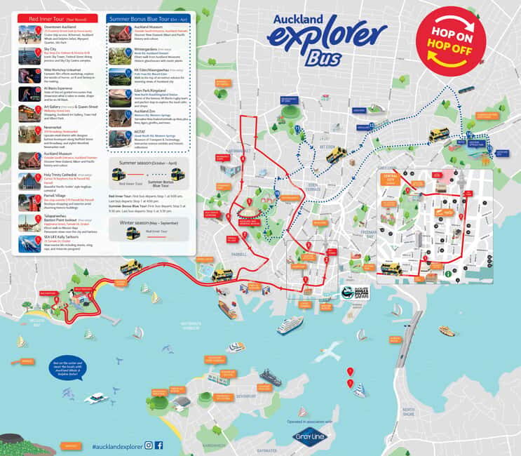 Auckland: Hop-On Hop-Off Explorer Bus Ticket - Price and Value: What the $38 Ticket Really Buys