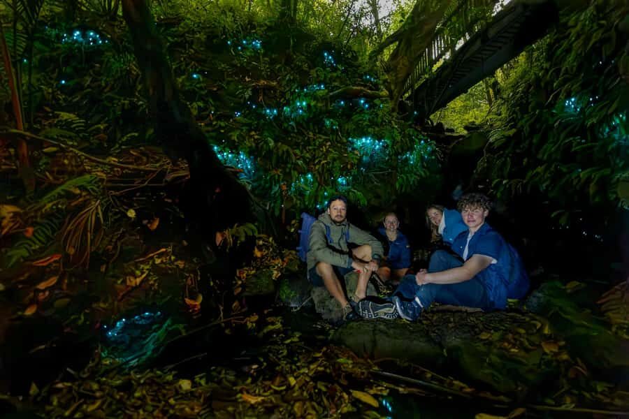 Auckland: Inner-City Glowworm Experience in Ancient Volcano - Where the tour starts: Wintergarden Cafe and the first night steps