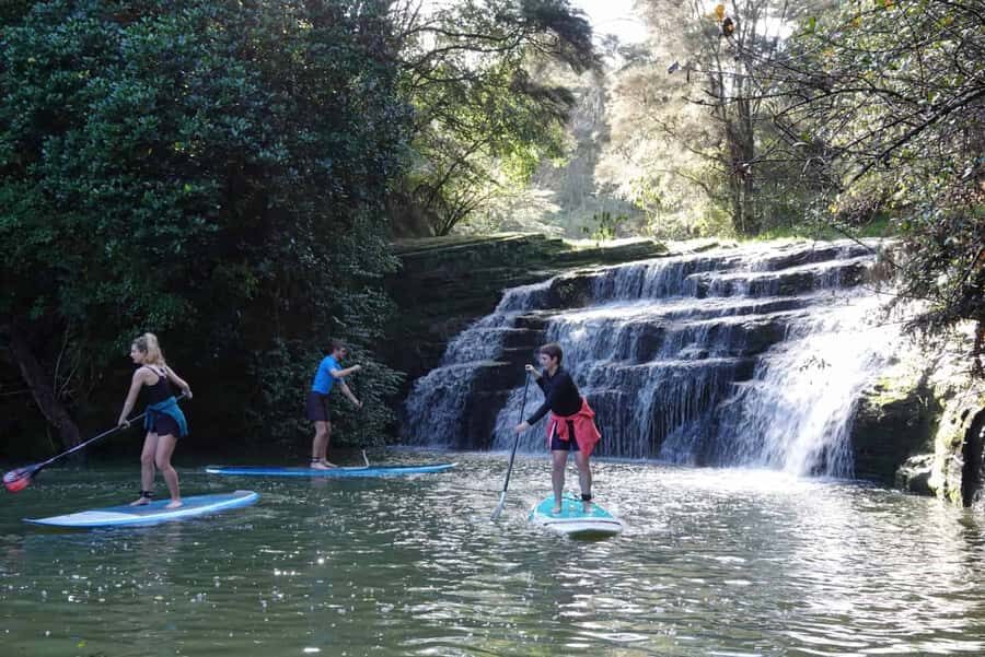 Auckland: Lucas Creek Waterfall SuP Tour - Key Highlights You Should Care About