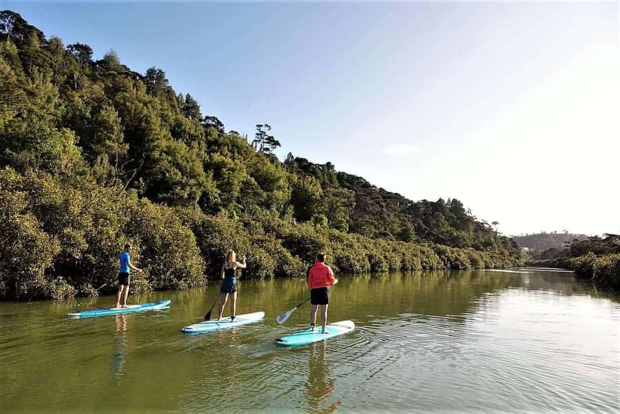 Auckland: Lucas Creek Waterfall SuP Tour - Lucas Creek Waterfall SuP in Albany: What the 2 Hours Really Feel Like