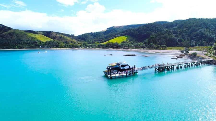 Auckland: Man O' War Vineyard Ferry (Waiheke Island) - Key points to know before you go