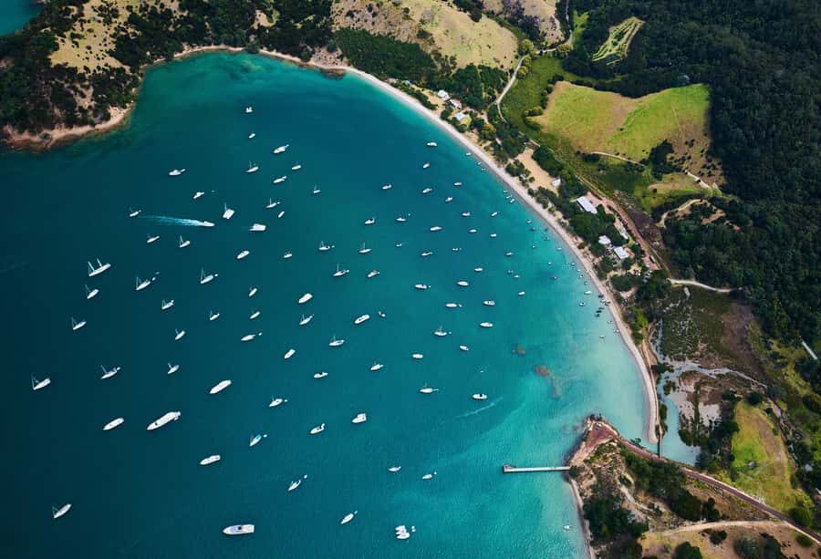 Auckland: Man O' War Vineyard Ferry (Waiheke Island) - 3.5 Hours at Man O’ War: Wine, Views, and Room to Breathe