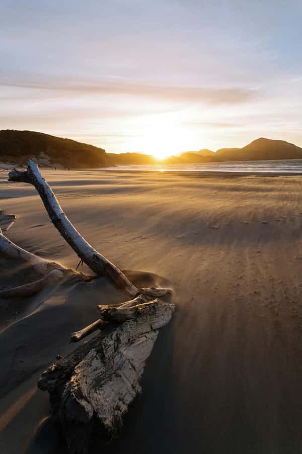 Auckland: Mt. Eden, Piha Beach & Karekare Private Tour - Key things I’d bank on before you go