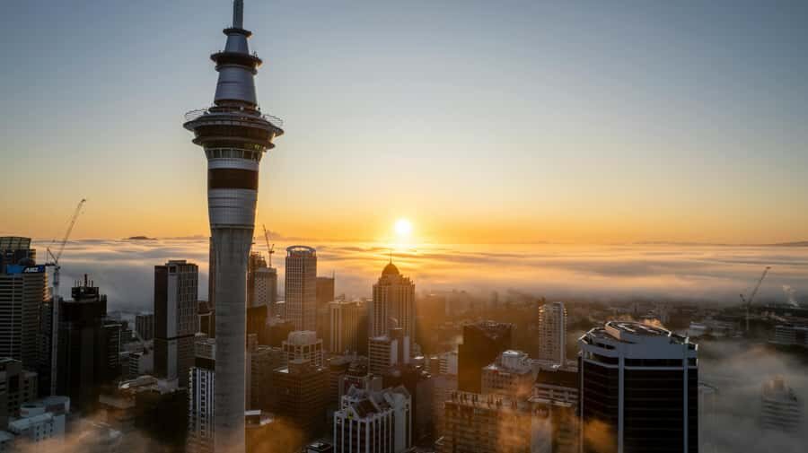 Auckland: Mt. Eden, Piha Beach & Karekare Private Tour - Choosing Your Auckland Start Time (and why it changes the whole day)