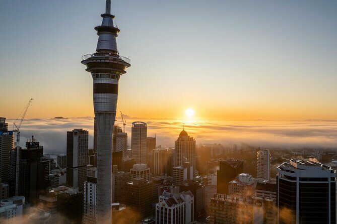 Auckland Museum and Highlight Sightseeing Tour - How This 4-Hour Auckland Mix Works (and who it suits)
