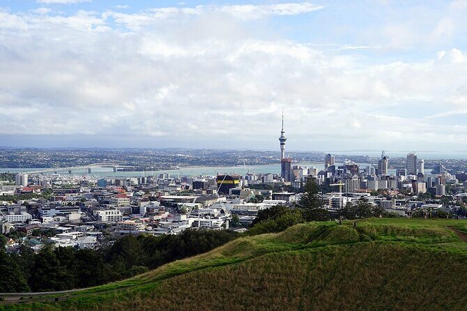 Auckland Museum and Highlight Sightseeing Tour - Stop 3: Auckland Museum in the Auckland Domain (and Why the Timing Works)