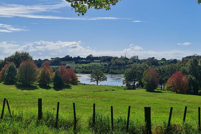 Auckland Nature Tour - Auckland nature in one day: gardens, pasture, and a 360° view
