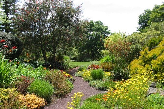 Auckland Nature Tour - Mt Eden: the highest Auckland view with a real 360° payoff