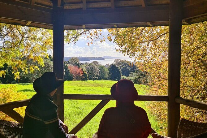 Auckland Nature Tour - Pickup and timing: an organized half-day that still leaves room to enjoy