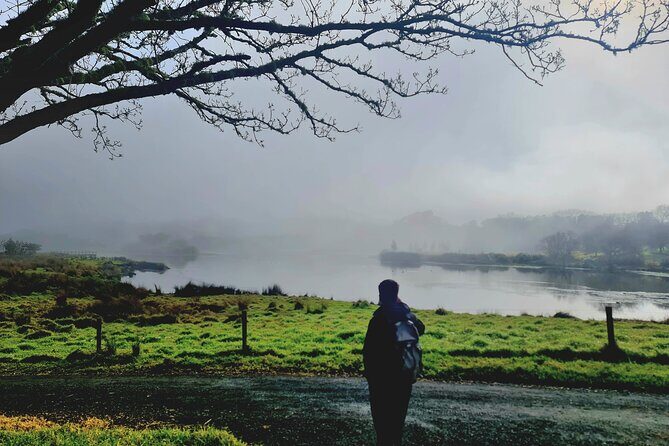 Auckland Nature Tour - Price and value: what you get for $191 and what to budget separately