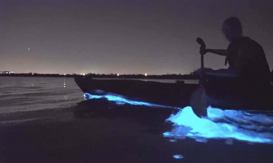 Auckland: Night Kayak Tour in Glowing Bioluminescent Waters - Where You Launch: Okura Boat Ramp vs Waiake Beach