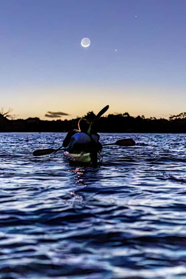 Auckland: Night Kayak Tour in Glowing Bioluminescent Waters - The Paddle That Creates the Glow: What 75 Minutes Feels Like