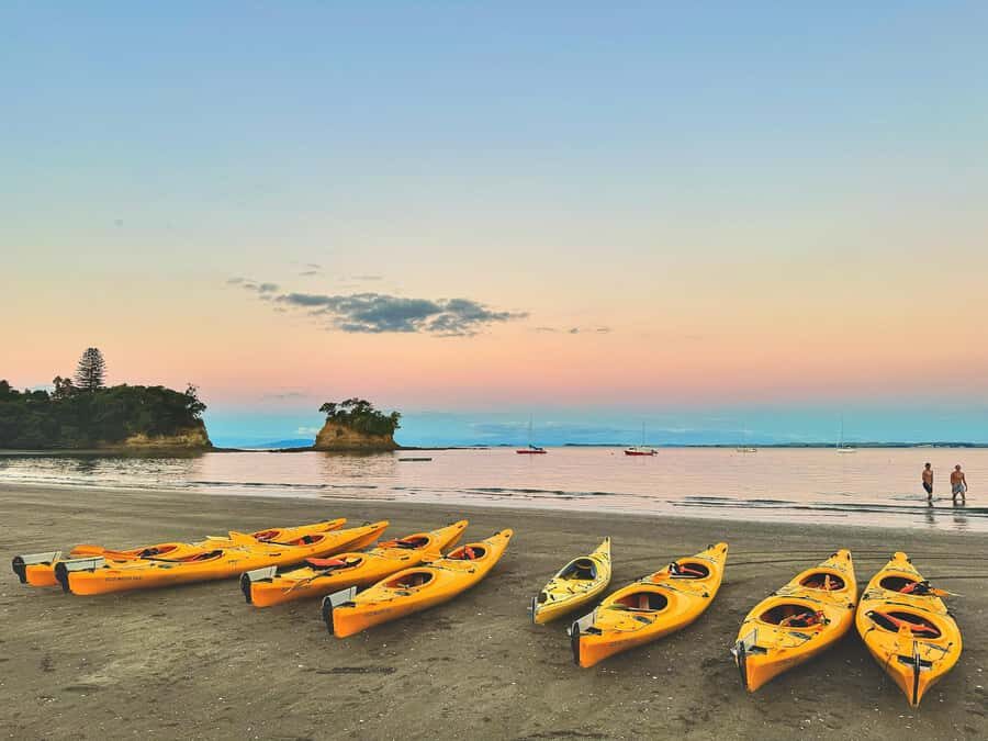 Auckland: Night Kayak Tour in Glowing Bioluminescent Waters - Stars Overhead: Why the Night Sky Matters as Much as the Water
