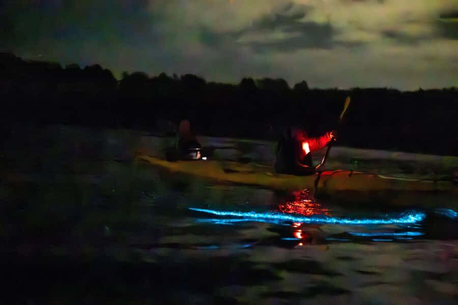 Auckland: Night Kayak Tour in Glowing Bioluminescent Waters - Who This Night Kayak Tour Fits Best (and Who Might Hesitate)