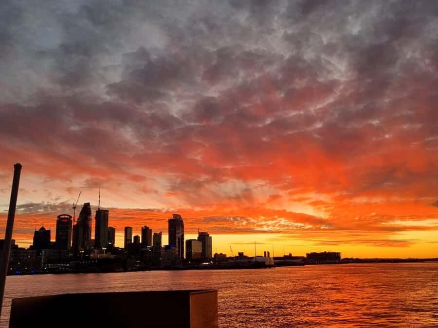 Auckland: Nightlights Harbour Cruise with Canapés and Drink - Key things that make this cruise worth your time
